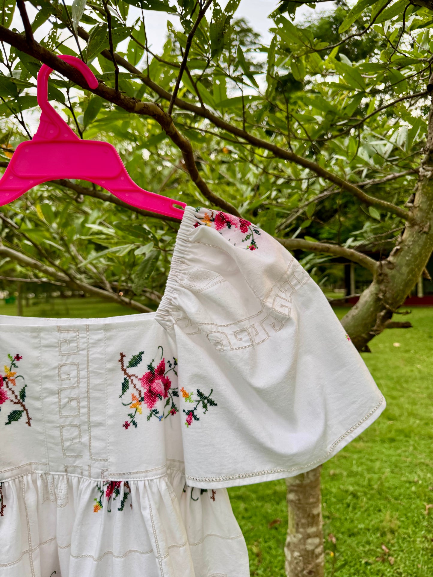 Roses embroidery short dress