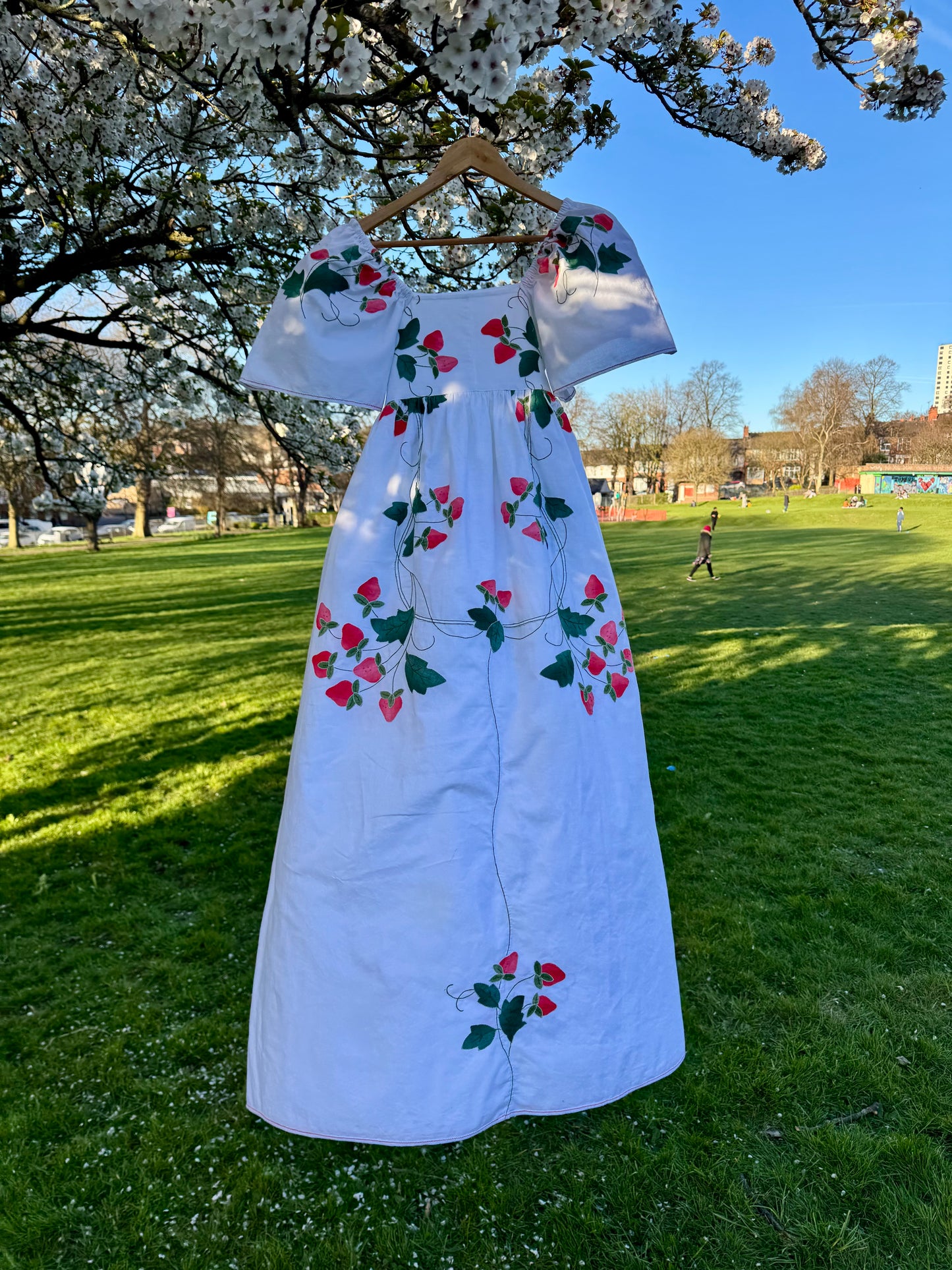 Strawberry maxi dress