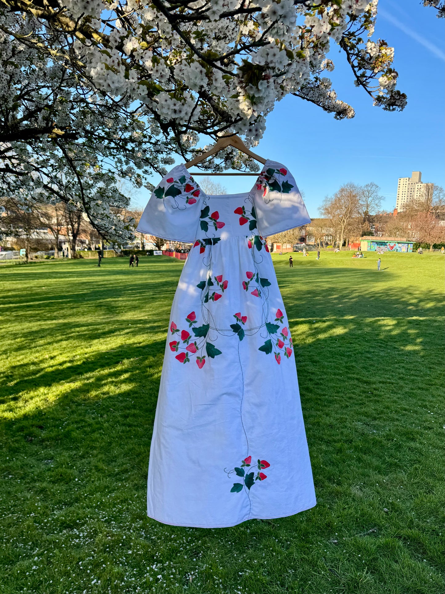 Strawberry maxi dress