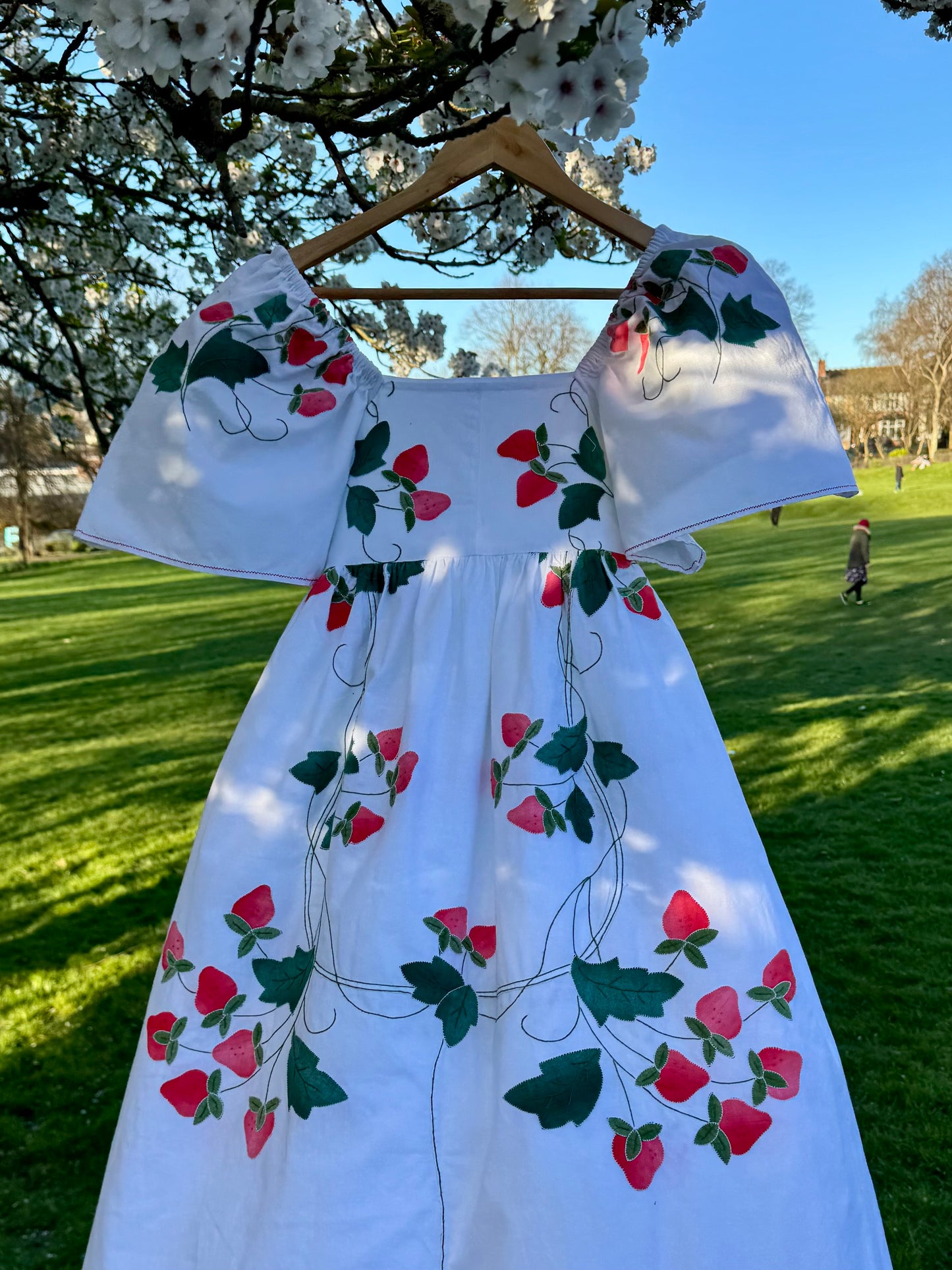 Strawberry maxi dress