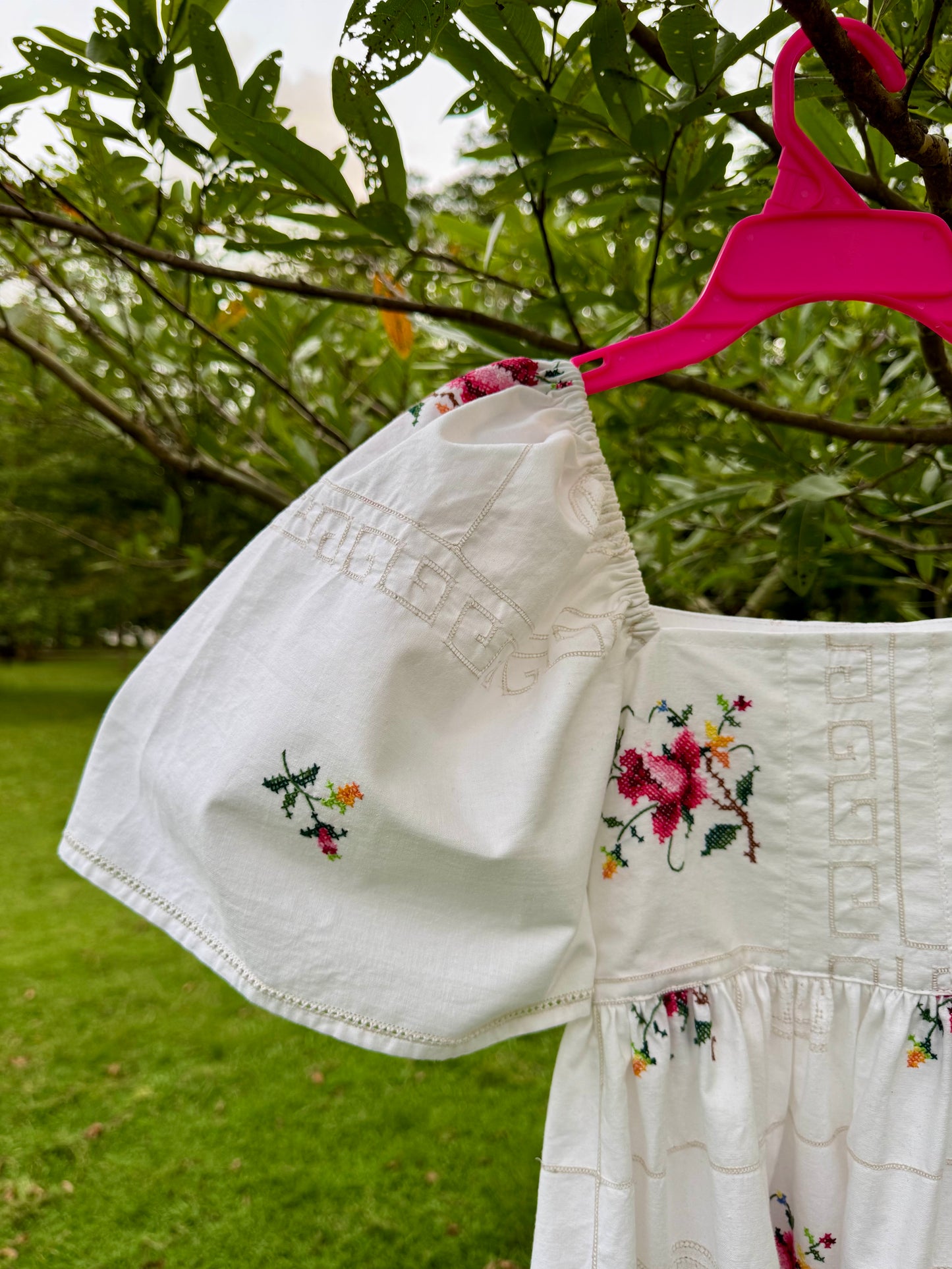 Roses embroidery short dress